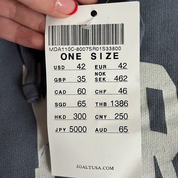 BRANDY MELVILLE • JOHN GALT Women’s Blue New York Hoodie NWT Sz S - Picture 3 of 5